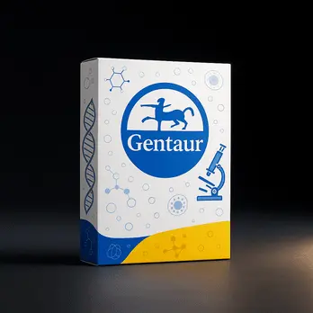 Gentaur Lind/Blue M CONTROL CONSOLE 58